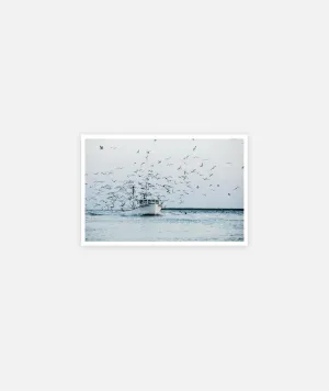 The Dana Christine Greeting Card - Assorted